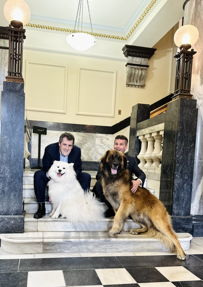 Very pawsitive policy announced today - making it easier for renters to have pets. Part of the @NZNationalParty and @actparty coalition agreement. Proud to deliver it with @dbseymour plus Ladyhawke and Leo!