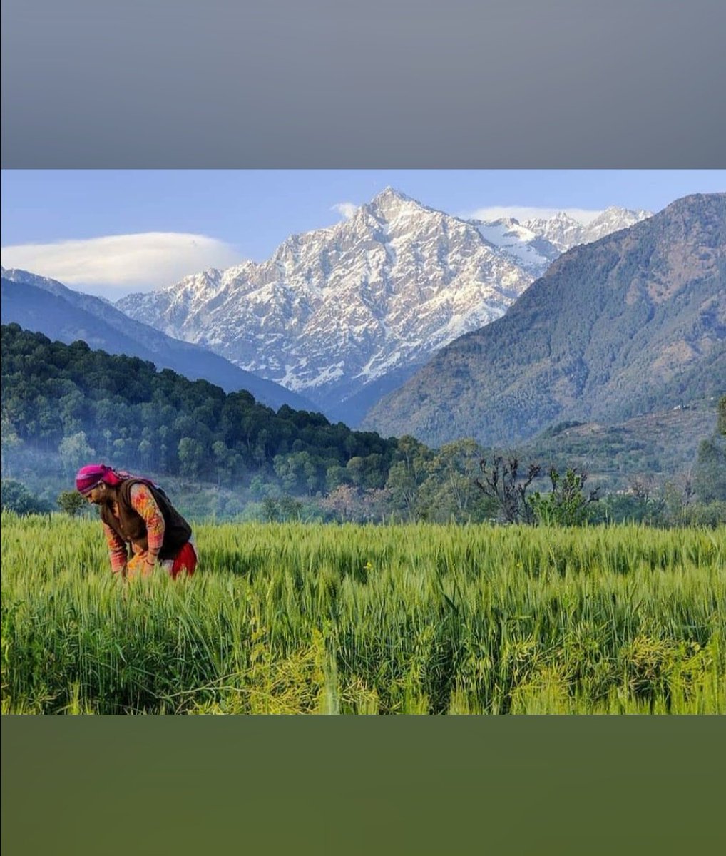 RamanBhatt25's tweet photo. Warmest greeting on Himachal Day fellow himachalis. May devbhumi always remain blessed,long live, the beauty, the tradition &amp; the life!! 💐🏡❤🙏
#HappyHimachalDay. 
#Dharamshala.
#HimachalPradesh.🏞 https://t.co/oXbq4jaSew