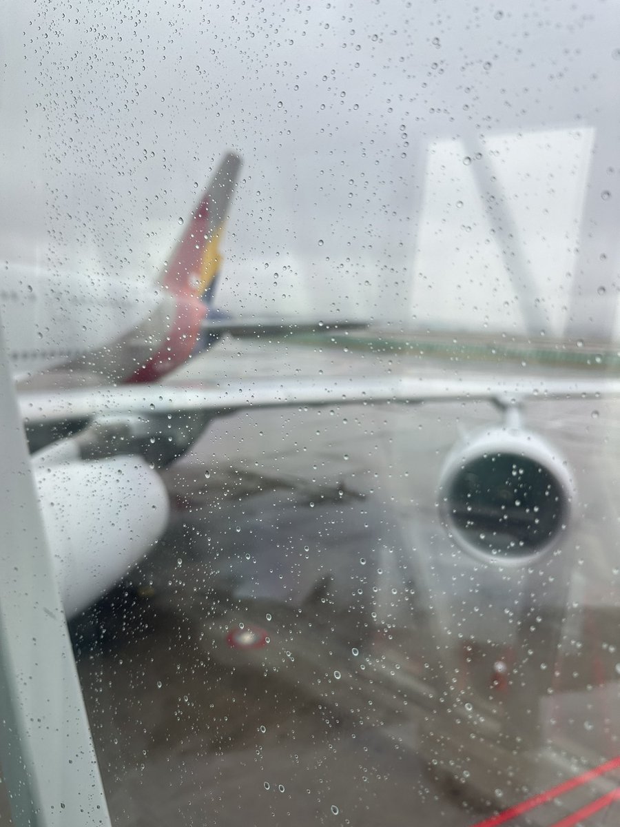 KN_Dogma tweet media