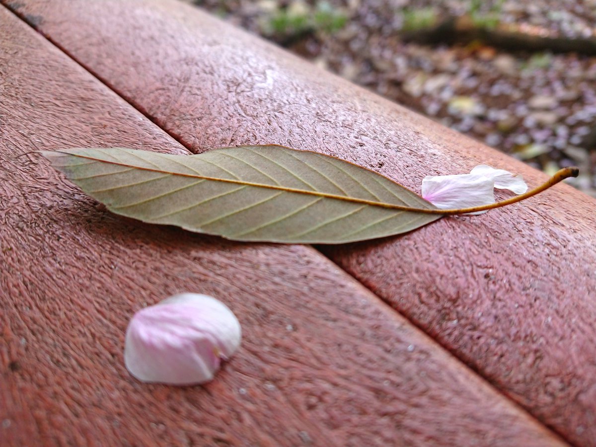 jellyfish1969's tweet image. 逢いたいね いつだって
逢いたいよ さよなら
全部 わかっていたのに 
なぜ 僕らは
恋をしてしまったのかな

『付き合ってなんかないけど』

聴いてみてください🤗
MV 👇
youtu.be/p7ef_TQdG2c?si…

#TRIPLANE
#BESTSET