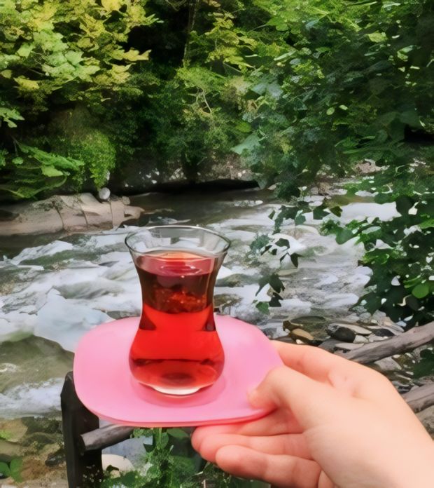 Görenlere günaydın ☀️🖖😇💕 Bi çay?