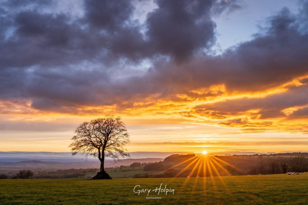 Morning! Daily photos are back, and we're kicking off with the first shot of just one beautiful sunset at my favourite lone tree as the sun starts to dip below the horizon... #dailyphotos #thephotohour #stormhour #mondaymood