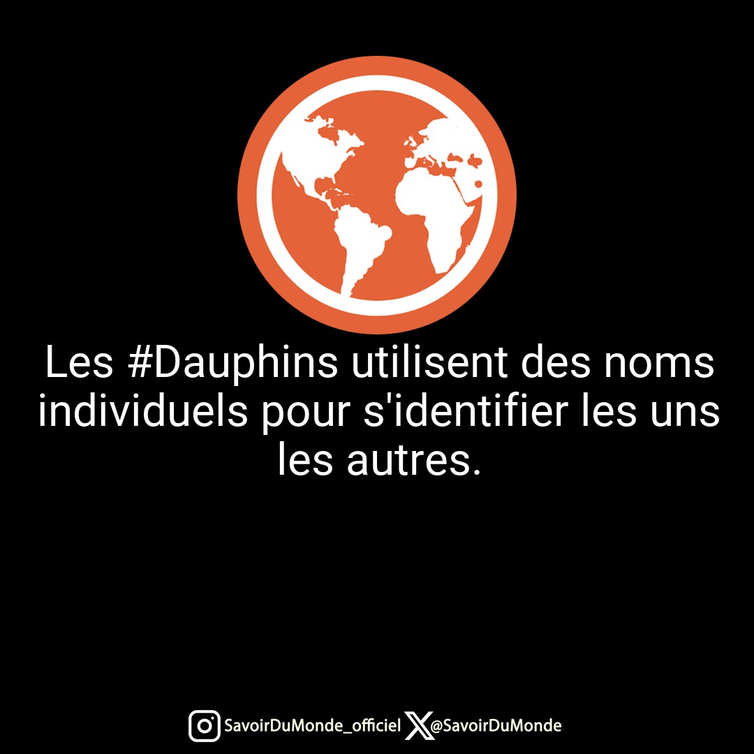 Les #Dauphins utilisent des noms individuels pour s'identifier les uns les autres.