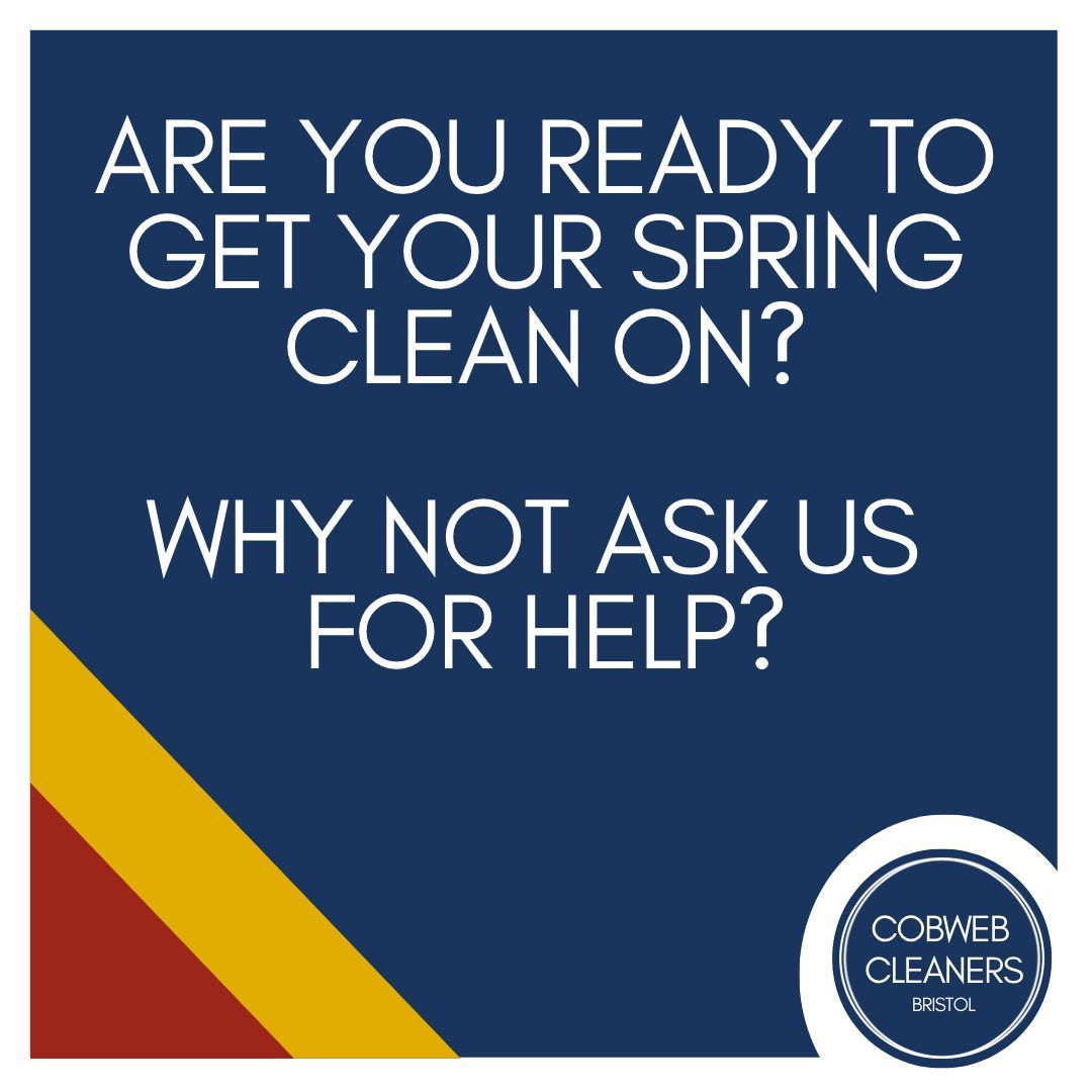 Spring is here! 🐣 🌸

Would you like our help with your annual spring clean?

Just pop us an email today!

hello@cobwebcleanersbristol.co.uk

#mondaymotivation #springclean #bristol #bristolcleaningcompany #ecoclean #greenbusiness #greencompany