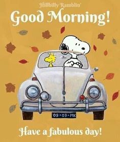 Good Morning inmates ! 💛 please .. and i wont say it again ..ok once more ...please ..have a fantastic beginning to yer brand new week !!