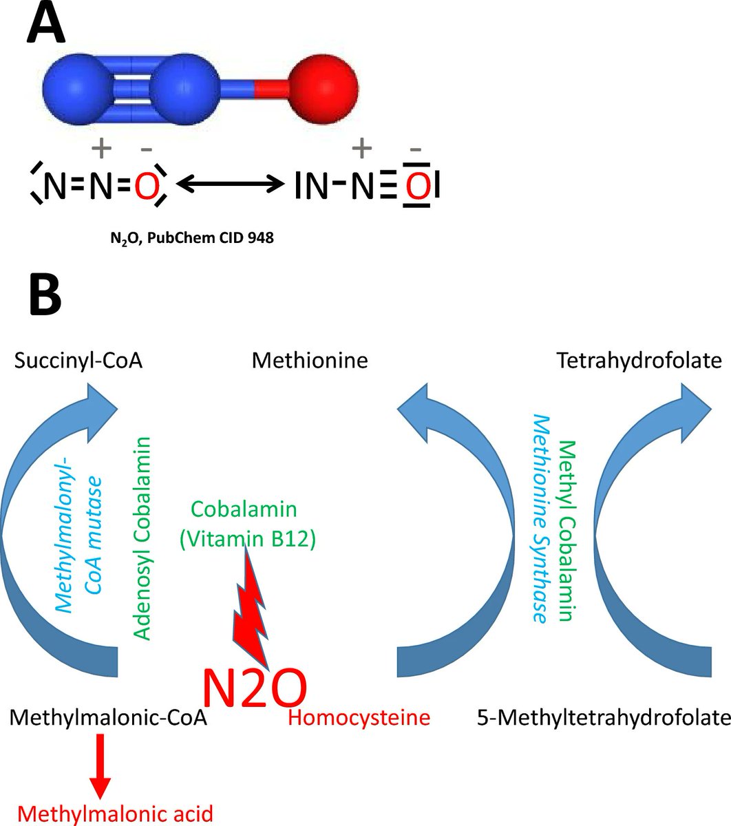 new article alert:
Kronenberg and colleagues discuss the potential of nitrous oxide as an rapid acting antidepressant. Mechanism, dosing, and efficacy in RCTs are still to be determined. 

<a href="/GeorgeSchor/">Georgios Schoretsanitis</a> 

doi.org/10.1007/s00406…