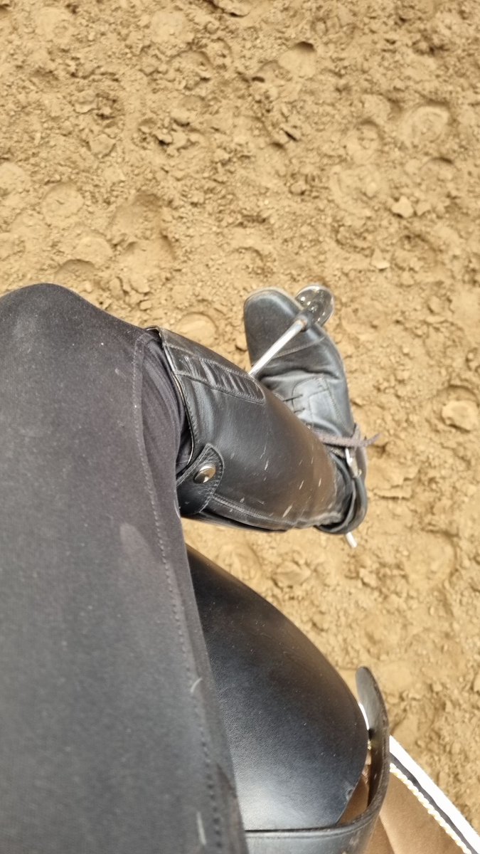 Heute Abend habe ich wieder Springstunde und werde bestimmt ordentlich ins schwitzen kommen.#equestriennesdiary #reitstiefel #lederstiefel #stiefelliebe #stiefel #stiefelfetisch #reitherrin #stiefelknecht #stallbursche #ridingboots #ridingbootfetish #reitstiefelfetisch #bootslave