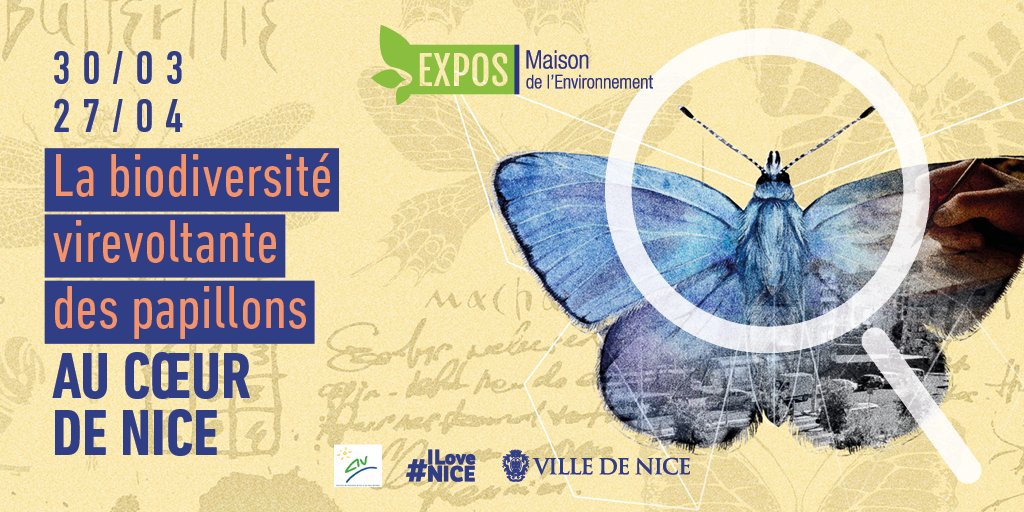 🦋A vos filets🦋 🌸C'est parti pour la chasse aux papillons de la Maison de l'Environnement à #Nice06 🌿 🔍Vivez une occasion unique d'explorer la biodiversité locale et de s'immerger dans le monde fascinant des naturalistes du jusqu'au 27 avril🕵️‍♀️ 👉 nice.fr/fr/l-agenda/ex…