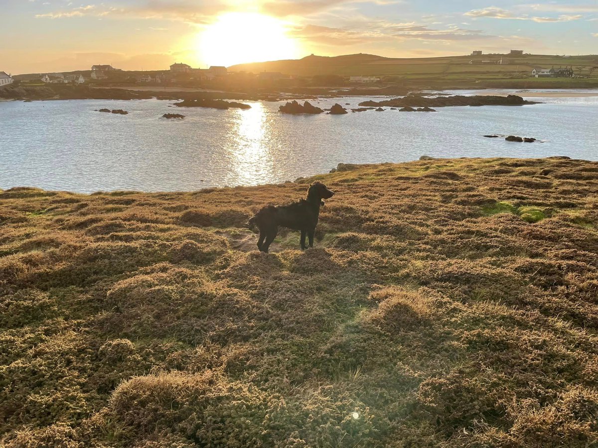 It's 1 year since Amber completed her Climbing Out programme. Here she reflects on the experience... 'The week was nothing short of a transformation. My Northern grit got re-gritted, my irreverent sense of humour returned and I discovered the necessity for self-compassion.' 💚💛