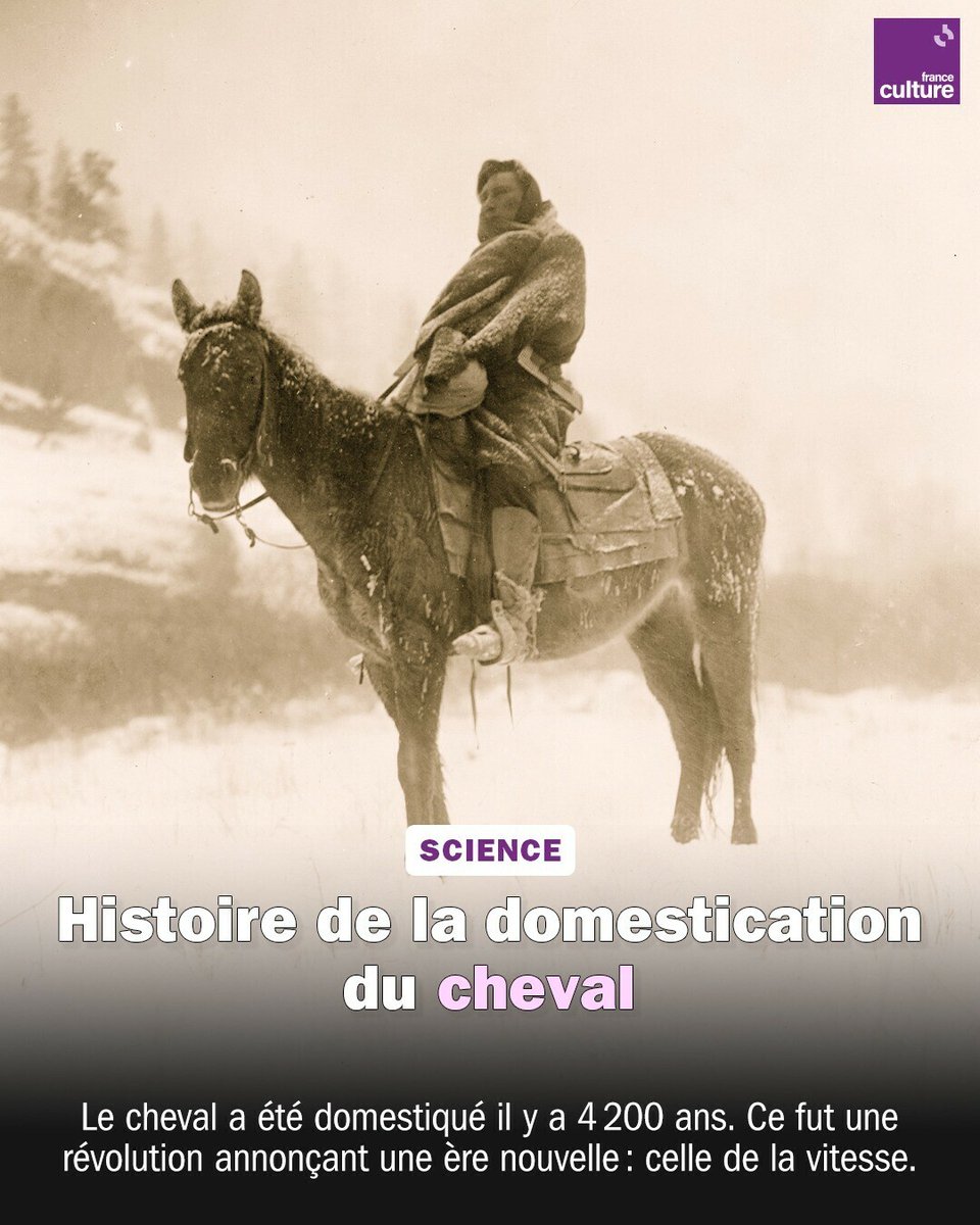 Le cheval est le 'premier instrument de globalisation du monde”. C'est un acteur majeur de l'histoire de l'humanité. ➡️ l.franceculture.fr/Jac