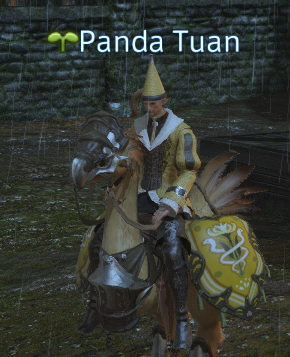 我是醜醜黃色小精靈 (X)