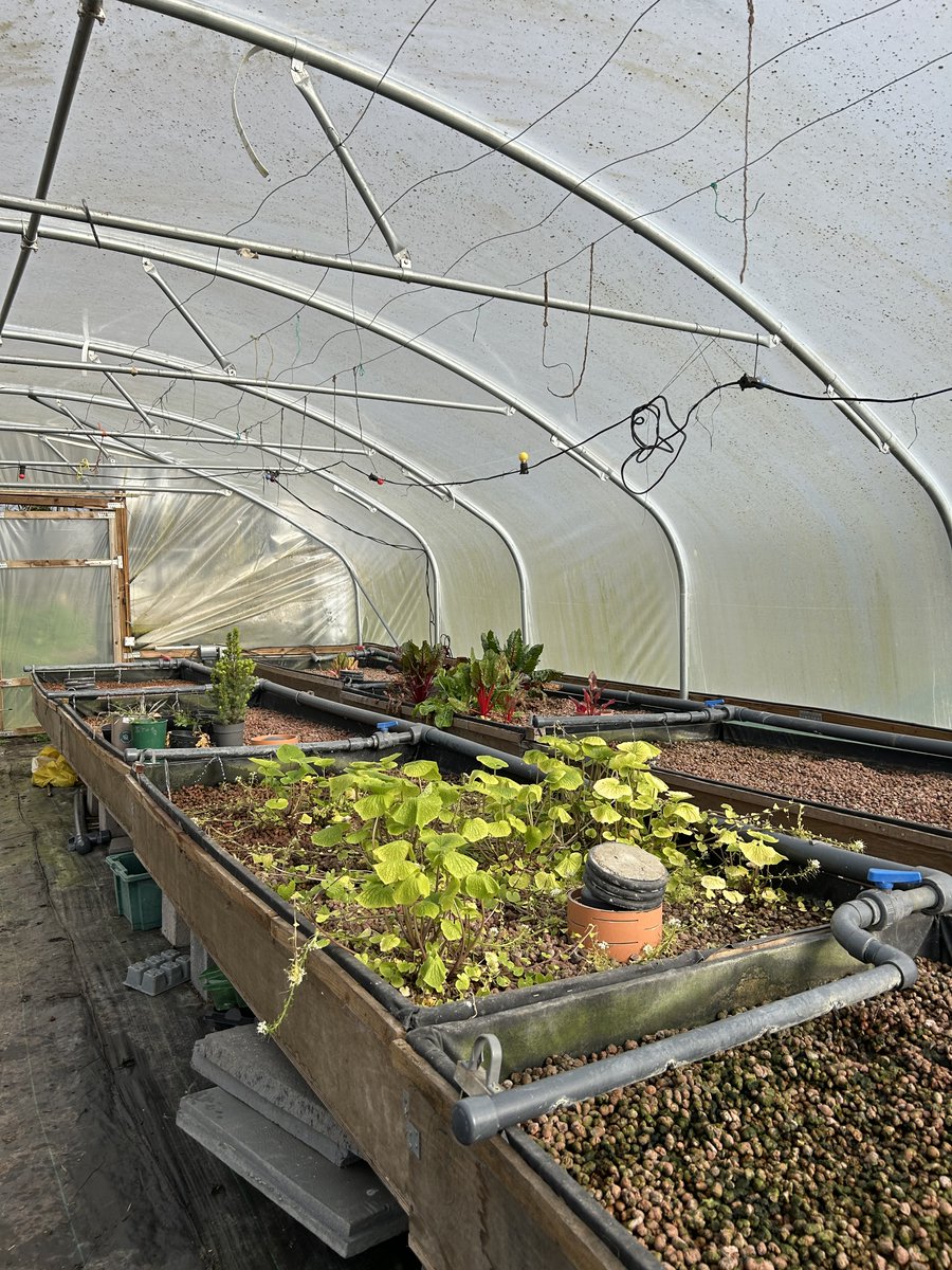 A students review on the Westbourne garden trip last term.

"I hadn't seen an Alpaca before and was shocked to see a whole pen of them. I didn't know we had any Alpacas locally.  I really enjoyed the trip and hope we can go on more like it".

Brooke