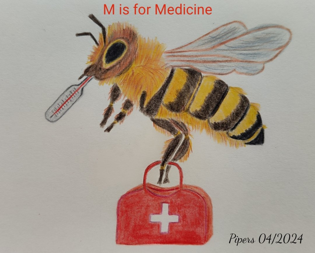 M is for Medicine @AnimalAlphabets 
A bee bringing medicine to the queen bee.🐝💊🌡️
#animalalphabets #illustration #Pencildrawing #pencilsketch #bee #carandache