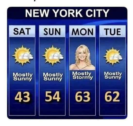 🔸️The.Angry.Ostrich. tweet media