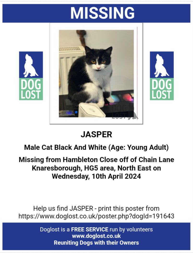 CatsMissing's tweet photo. #FindJasper 🐈 Male Black & White #LostCat Vanished 10/4/24 Hambleton Close off Chain Lane #Knaresborough #HG5 #Yorkshire
Young Adult
Neutered Microchipped #ScanMe #MissingCatsUK
🙏Check gardens/sheds/garages etc if local
Registered @DogLost_UK
https://t.co/gmmrvraniN
@vigne_k https://t.co/nvV6vQ4oGm