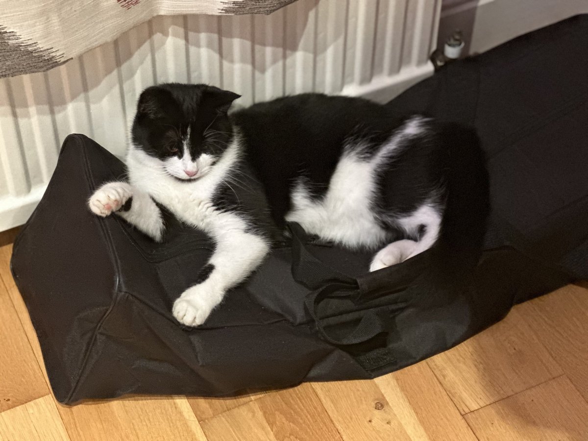 CatsMissing's tweet photo. #FindJasper 🐈 Male Black & White #LostCat Vanished 10/4/24 Hambleton Close off Chain Lane #Knaresborough #HG5 #Yorkshire
Young Adult
Neutered Microchipped #ScanMe #MissingCatsUK
🙏Check gardens/sheds/garages etc if local
Registered @DogLost_UK
https://t.co/gmmrvraniN
@vigne_k https://t.co/nvV6vQ4oGm