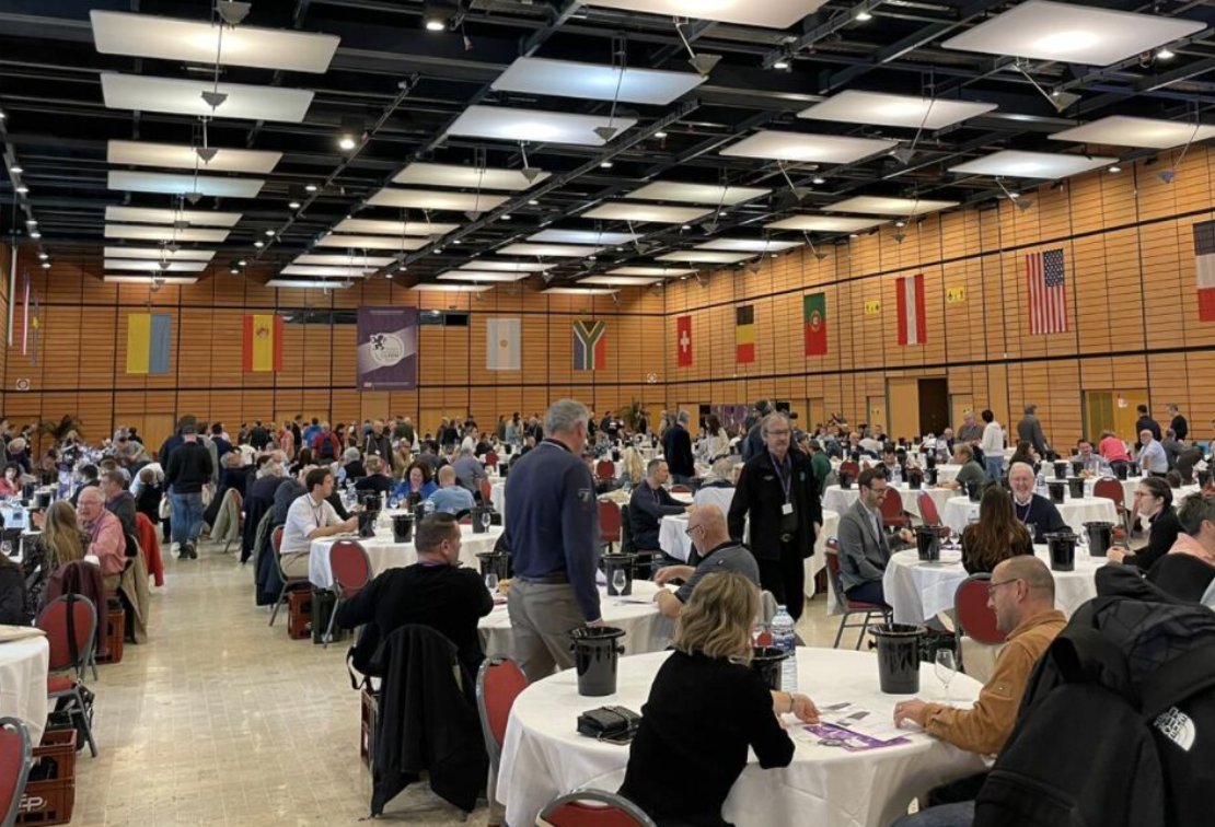 🍷🇨🇵AOP Languedoc (@aoplanguedoc) on Twitter photo <a href="/ConcoursLyon/">Concours de Lyon</a> récompense les meilleurs vins, bières, spiritueux du monde.
Une pluie de médailles d’OR pour l’AOP Languedoc pour cette édition 2024 !
Félicitations aux producteurs récompensés 🍷 👏
Découvrez la diversité et la qualité de ces cuvées :
➡ concourslyon.com/results-wine-2… <a href="/ConcoursLyon/">Concours de Lyon</a> récompense les meilleurs vins, bières, spiritueux du monde.
Une pluie de médailles d’OR pour l’AOP Languedoc pour cette édition 2024 !
Félicitations aux producteurs récompensés 🍷 👏
Découvrez la diversité et la qualité de ces cuvées :
➡ concourslyon.com/results-wine-2…