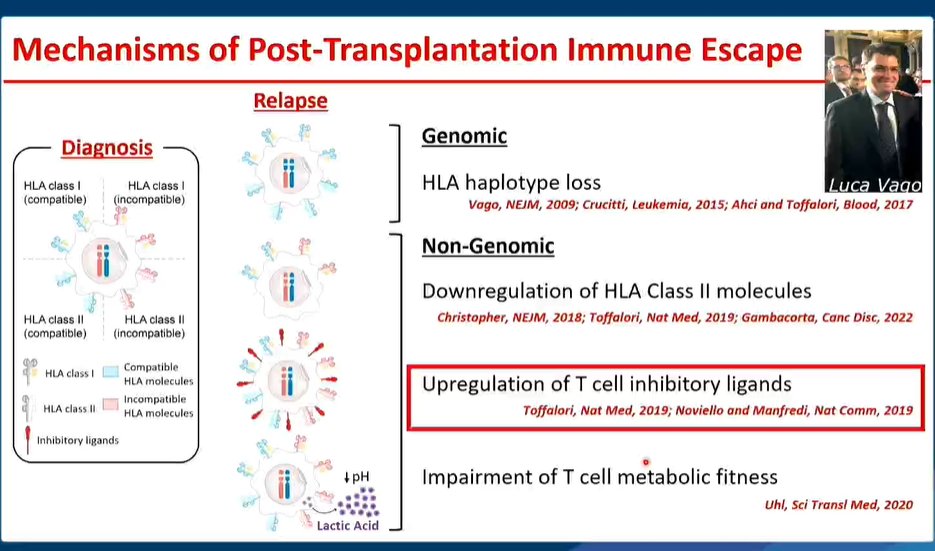 #EBMT24 the famous slide of  mechanisms of immune escape after post HCT