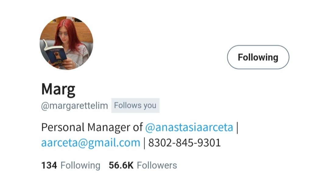 rayamaraiah's tweet photo. can i — a #mikhaiah au where pop singer anastasia (🐶) has no shame in dropping hints that she's in a relationship with her manager, marg (🦊). https://t.co/7ndH3Xvf3R
