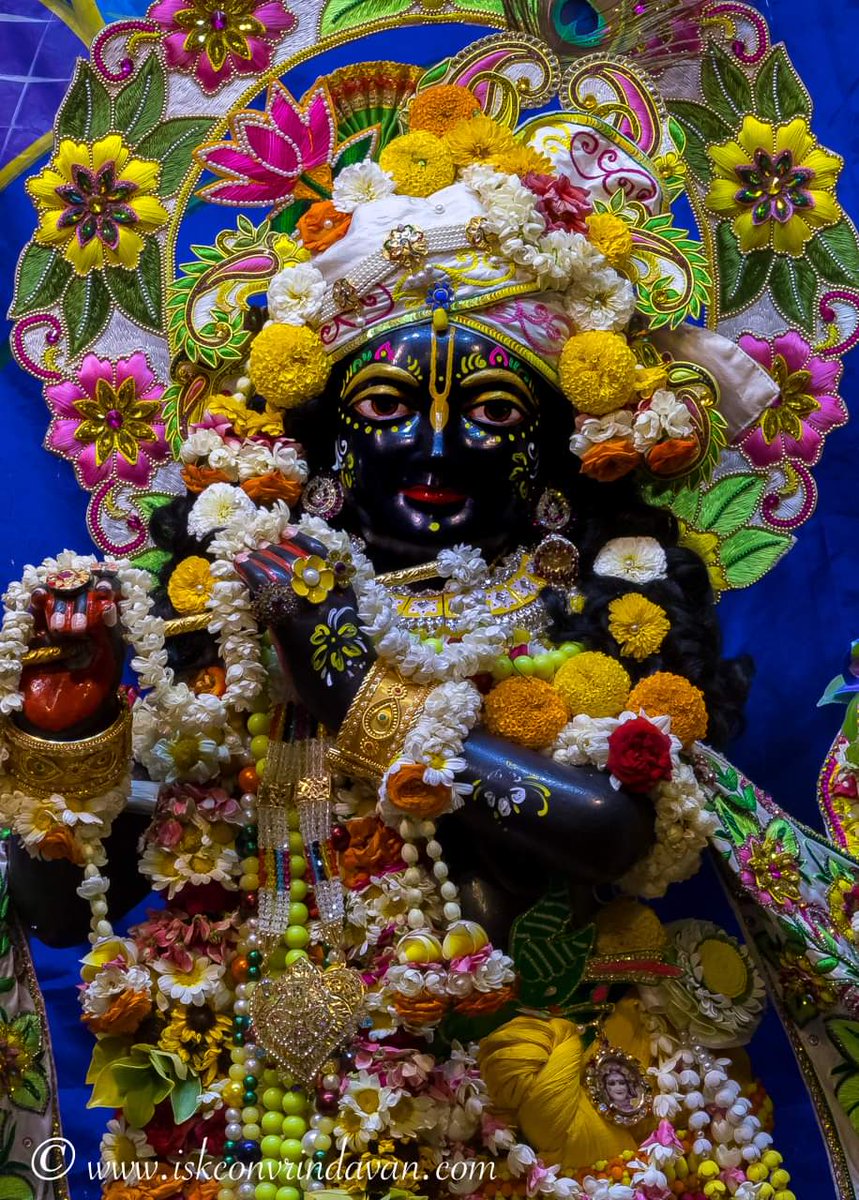 Jai Sri Krishna 🎉🌺🍊🍎