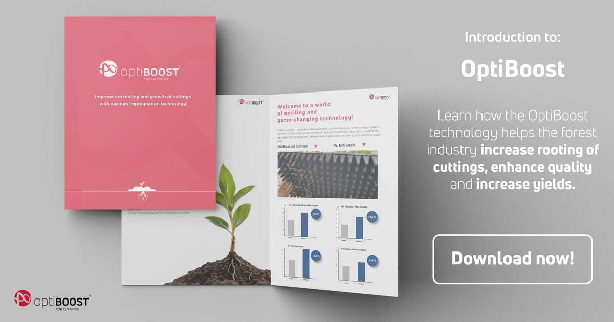 OptiBoost's tweet photo. Improved rooting and increased yields of forest cuttings with OptiBoost. We’ve put together a paper to give you a deep dive into the technology. 

Download it now!

https://t.co/tTLyBPZsQs

#ForestryInnovation #OptiBoost #GrowWithUs https://t.co/e0dwsWConz