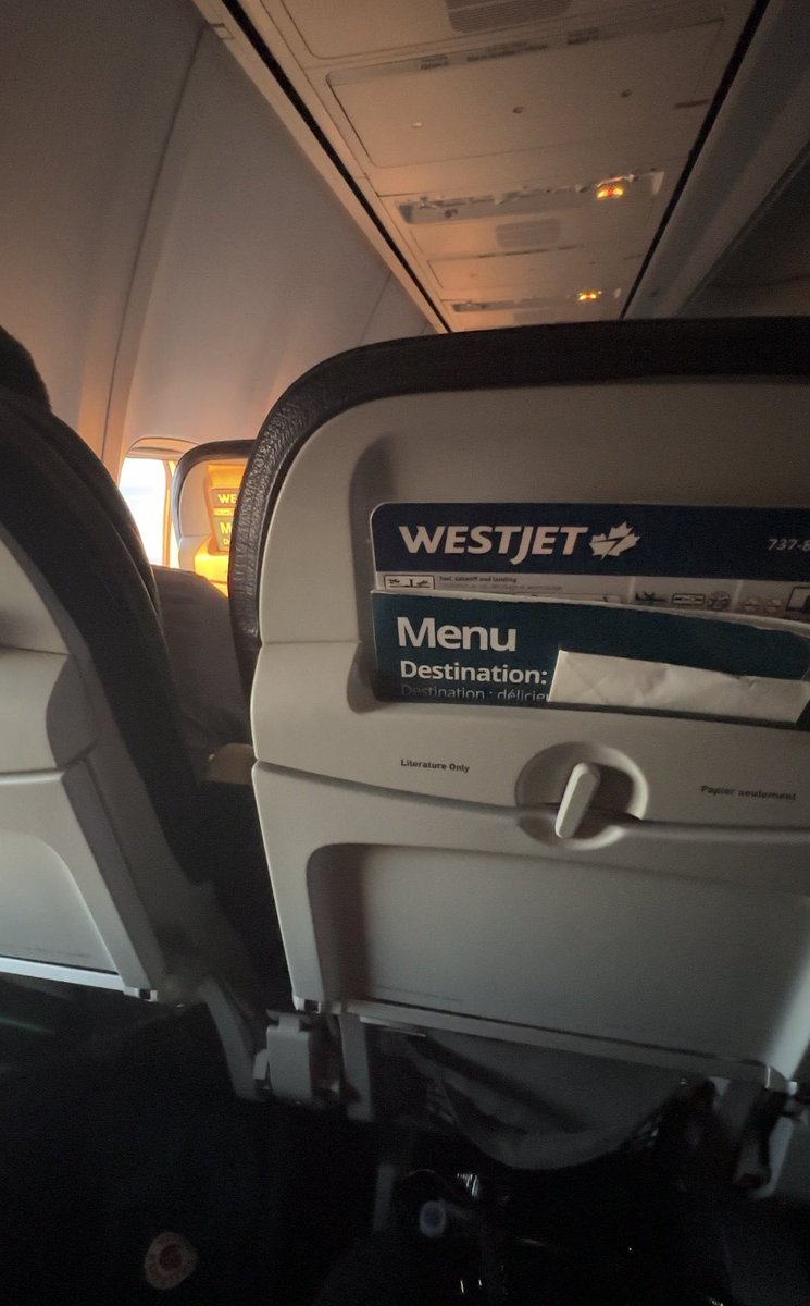 jazmine˚⁠☆˳⁠° tweet media