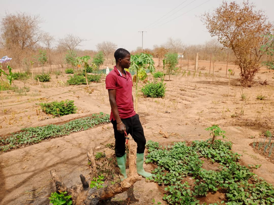 Hervé Ouédraogo, économiste, fait une pause dans ses études pour devenir maraîcher. Sur un petit champ prêté, il se lance dans la production maraîchère, partageant son parcours d'étudiant à agriculteur. Une histoire inspirante de transition et d'entrepreneuriat ! #BurkinaFaso