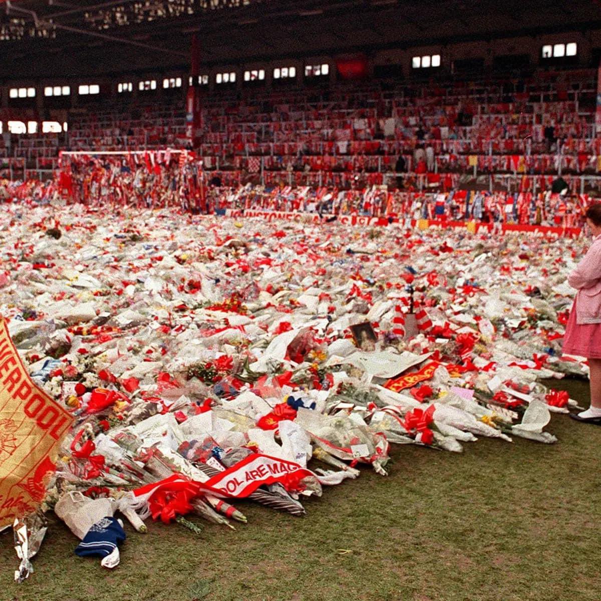 TALchef's tweet photo. #YNWA https://t.co/zusN0kYDEF
