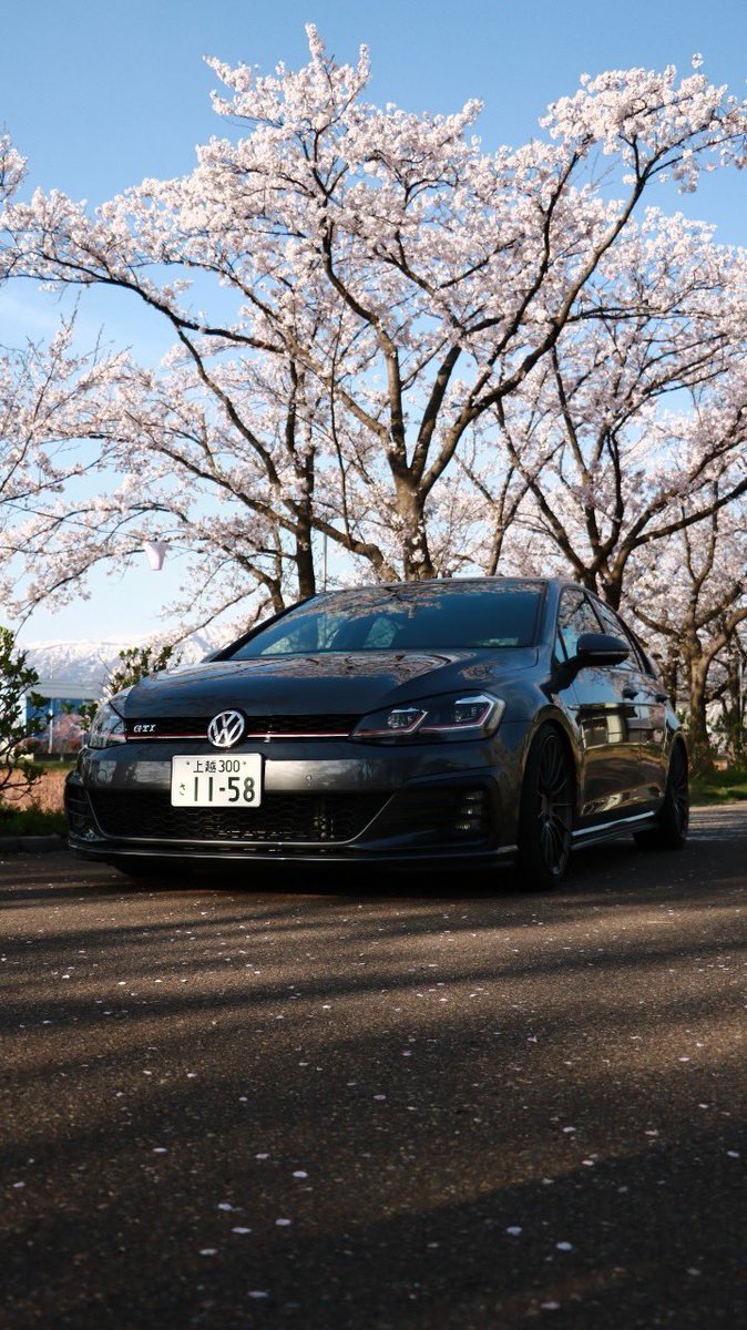 akinari1b18's tweet photo. 今年の桜微妙過ぎる https://t.co/UfW65OAsyr