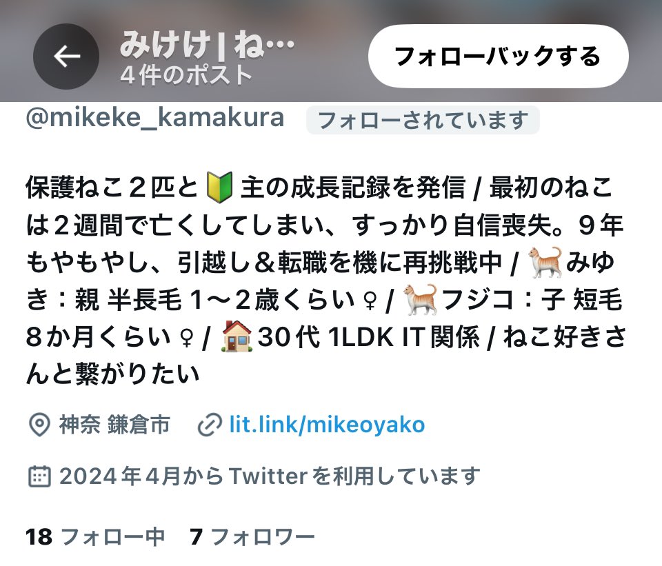 KEI tweet media