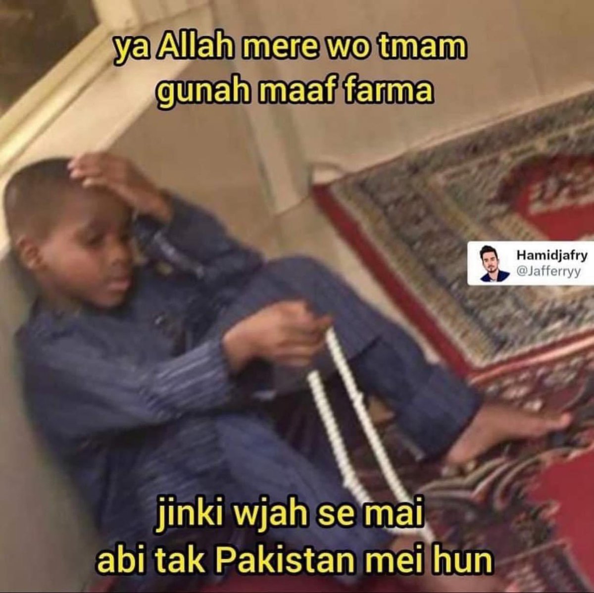 Shaan Ali tweet media