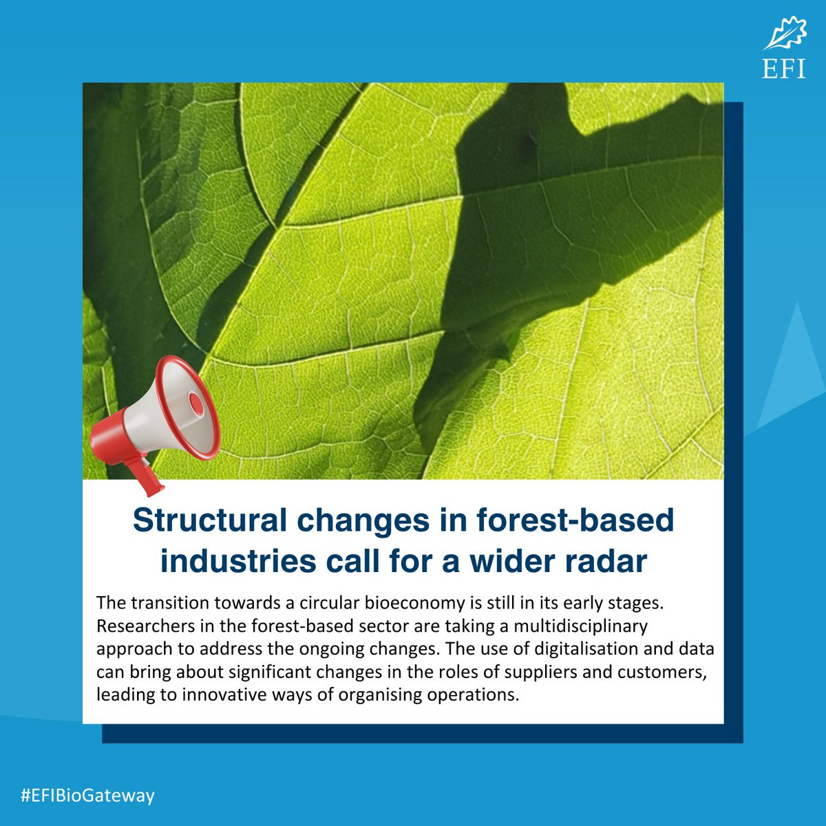 💡🌱How can forest industries adapt to evolving circular #bioeconomy markets and seize opportunities in traditional and new customer fields? 🔗Find out at #EFIBioGateway biogateway.efi.int/structural-cha…