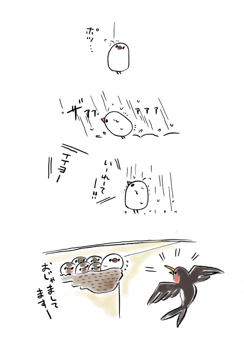 燕とぶんちょ 