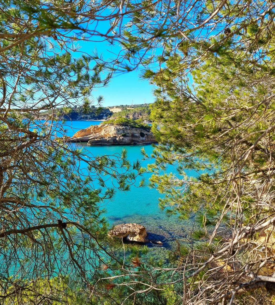 #Bondia! L'Illot és un veritable tresor natural, un lloc que convida a aturar-se i capturar la màgia del moment. Foto del dia de @fincallambrich, moltes gràcies! #AmetlladeMar #ReservadelaBiosfera #TerresdelEbre #CatalunyExperience