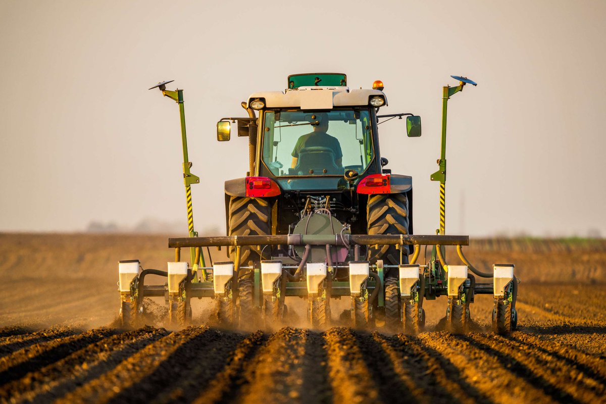 It's #Seeding season! Plant the seeds of your dreams and watch them grow into something beautiful! 🌱 #GrowWhatYouSow #Plant24