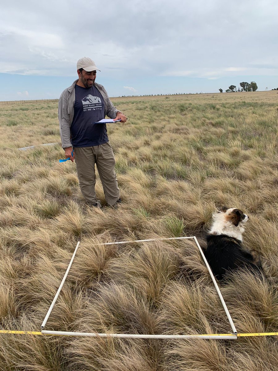 LinggoHQ's tweet photo. ¿Te interesa comprender, proteger y conservar 
 a los pastizales? 
¿Querés trabajar en estas oficinas al aire libre de Argentina, Uruguay y Brasil?
¿Conoces sobre biologia de suelo o artrópodos?

Esta beca doctoral es para vos....

https://t.co/57vzN1EbtG https://t.co/1ZzHBvNRJr