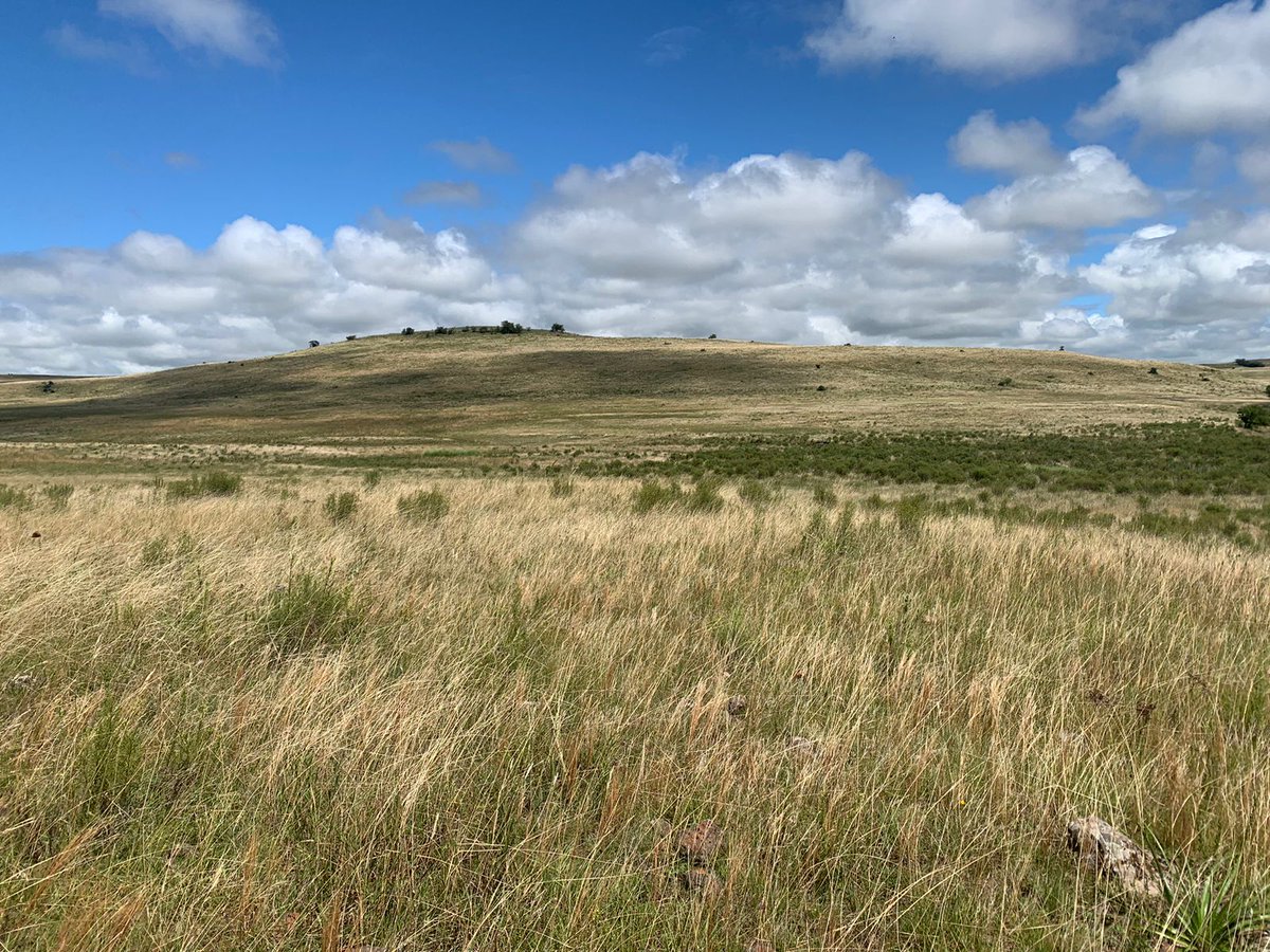 LinggoHQ's tweet photo. ¿Te interesa comprender, proteger y conservar 
 a los pastizales? 
¿Querés trabajar en estas oficinas al aire libre de Argentina, Uruguay y Brasil?
¿Conoces sobre biologia de suelo o artrópodos?

Esta beca doctoral es para vos....

https://t.co/57vzN1EbtG https://t.co/1ZzHBvNRJr
