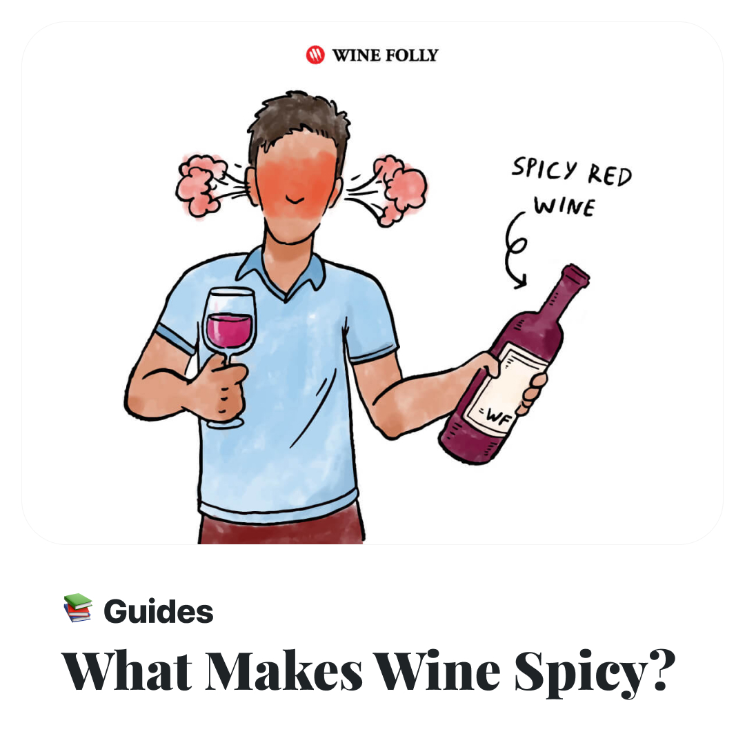 WineFolly's tweet photo. Find out more -> https://t.co/XLGy4nxH6Q
#winetips #winelovers #winefolly #winelife #winetime #wineedu #sommstudy #sommstudies #learnaboutwine https://t.co/xBY0tRHpvD