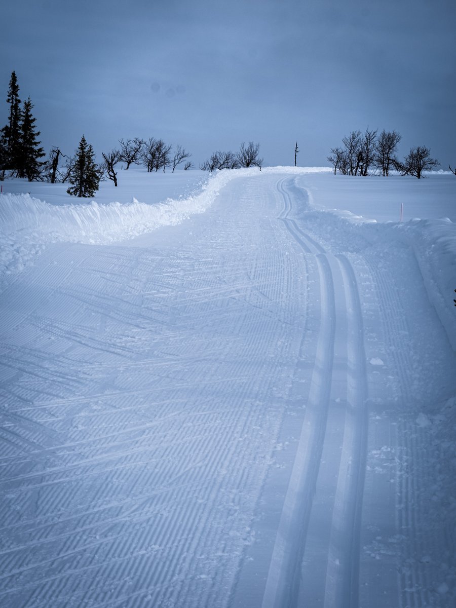 MansBjorn's tweet photo. When you have the tracks for yourself! 

 #Saxnäs #Vilhelmina #crosscountryskiing #fjället #Satsfjället #Fujifilm #XT4 #XF33mm14 #needforspeed https://t.co/y8cx4Kathg