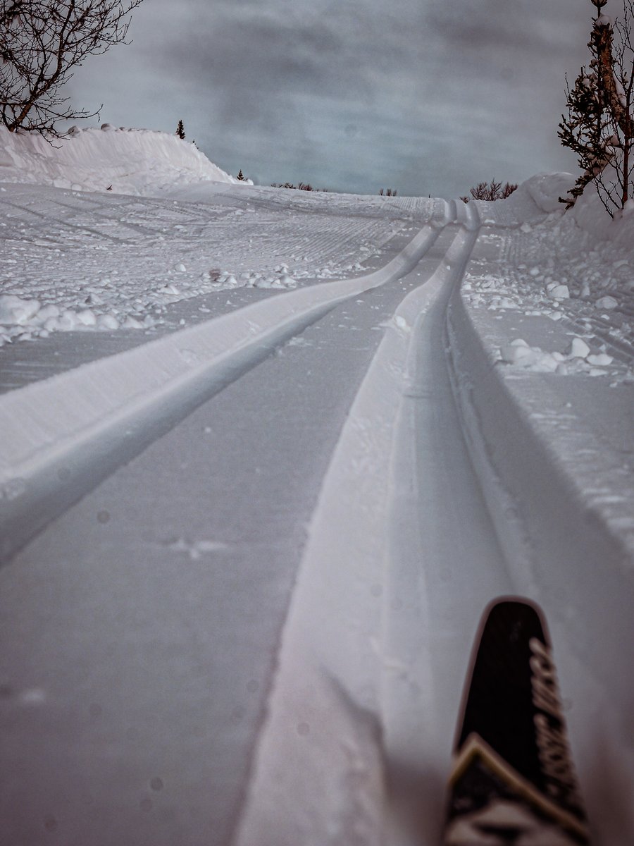 MansBjorn's tweet photo. When you have the tracks for yourself! 

 #Saxnäs #Vilhelmina #crosscountryskiing #fjället #Satsfjället #Fujifilm #XT4 #XF33mm14 #needforspeed https://t.co/y8cx4Kathg