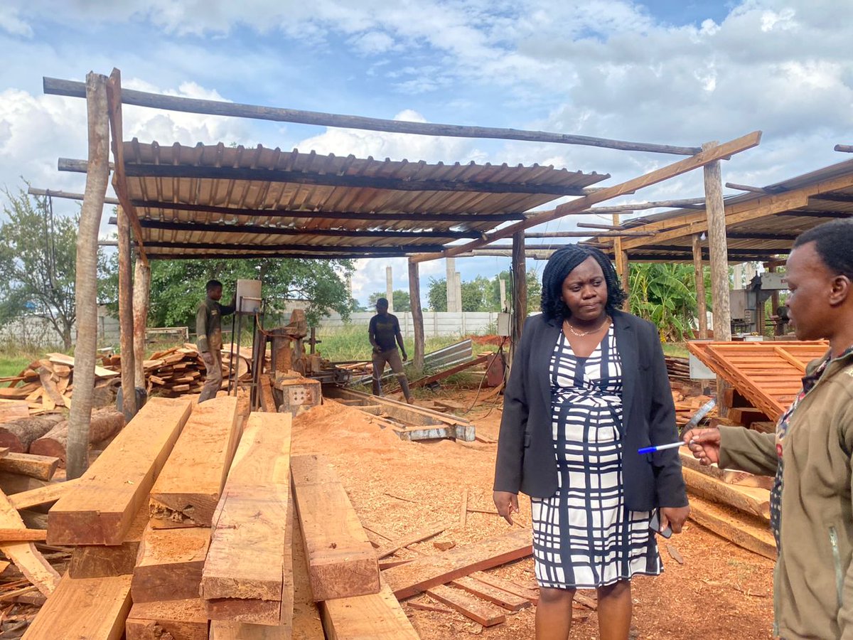 Exploring the artistry of Senwork Timbers in Bulawayo, where every grain tells a story. From exquisite teak furniture to elegant doors, they're crafting quality with a vision to sell to the region and #ZimTrade will help them get there. #EnergisingExports