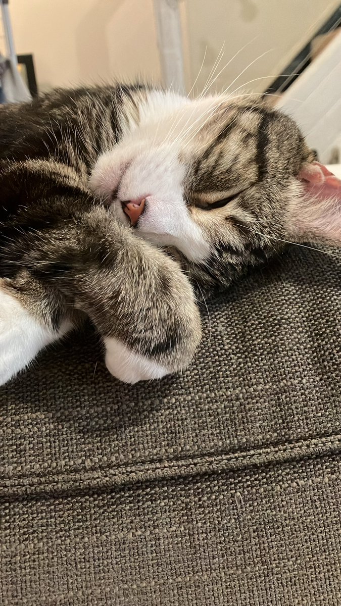 DRAMATIC INKING tweet media