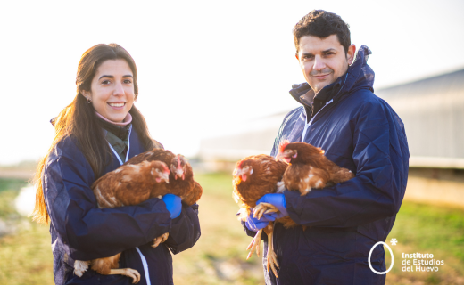 Mañana se celebra el #DíaMundialDelVeterinario. Nuestro reconocimiento y agradecimiento a todos los veterinarios que trabajan en la #avicultura

#IEH #Huevos #Veterinarios #BienestarAnimal