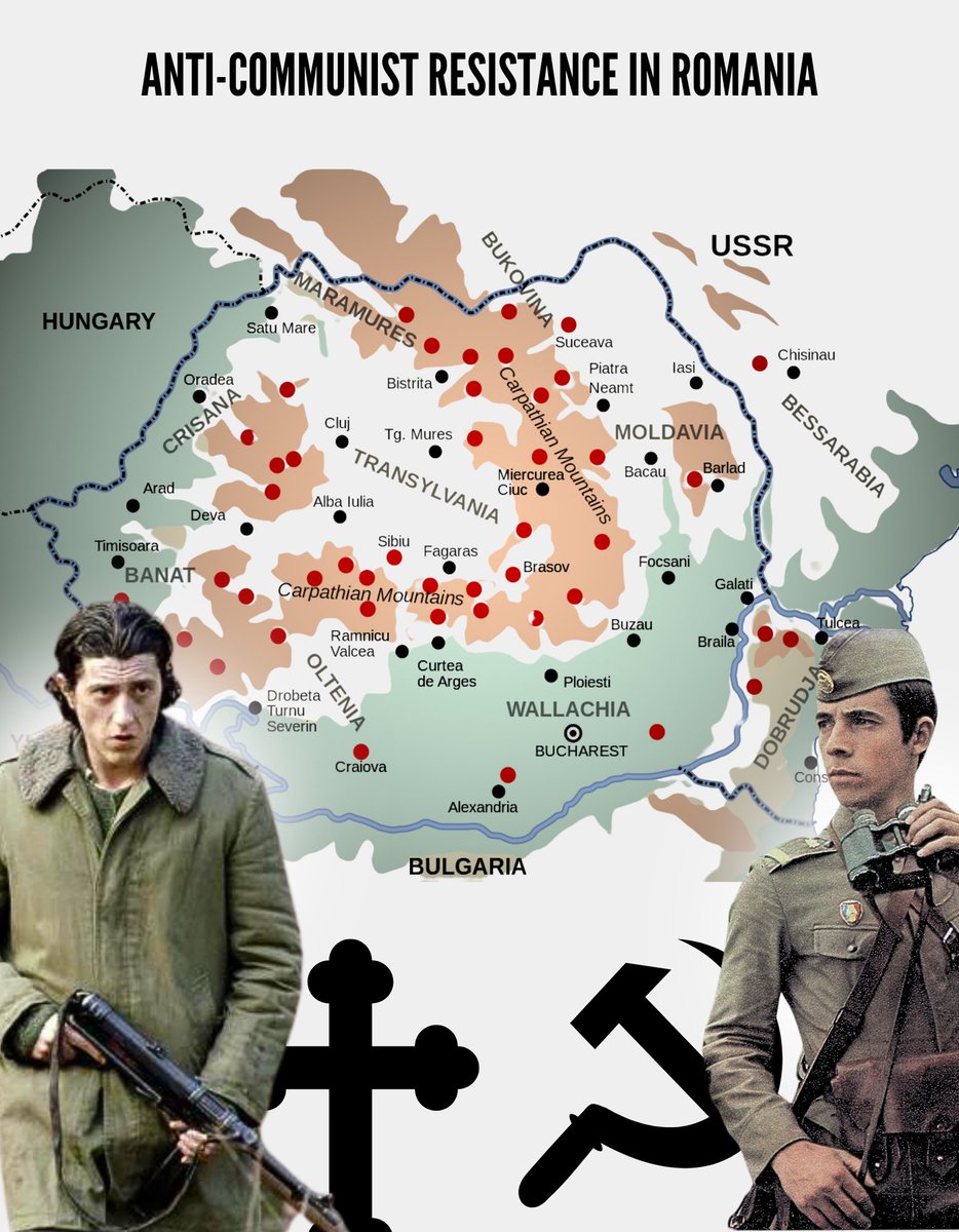 🇷🇴 Romania’s Anti-communist Resistance Movement In March 1944, the Soviet Red Army invaded Bucovina and began the “liberation” of Romania. People fled into the forests and surrounding mountains and began forming Anti-Bolshevik Partisan Units. Thread ↓