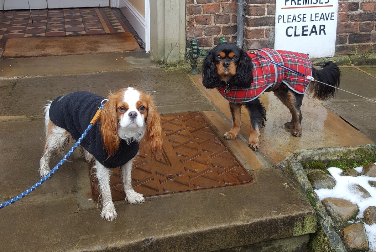 Florencecavpack's tweet photo. loved our tweet up in yorkshire with #littleErn @Price27P @NicPrice22 #cavpack #RememberingErn ๐๐ถ๐พ๐ https://t.co/Cip0iCCR0k