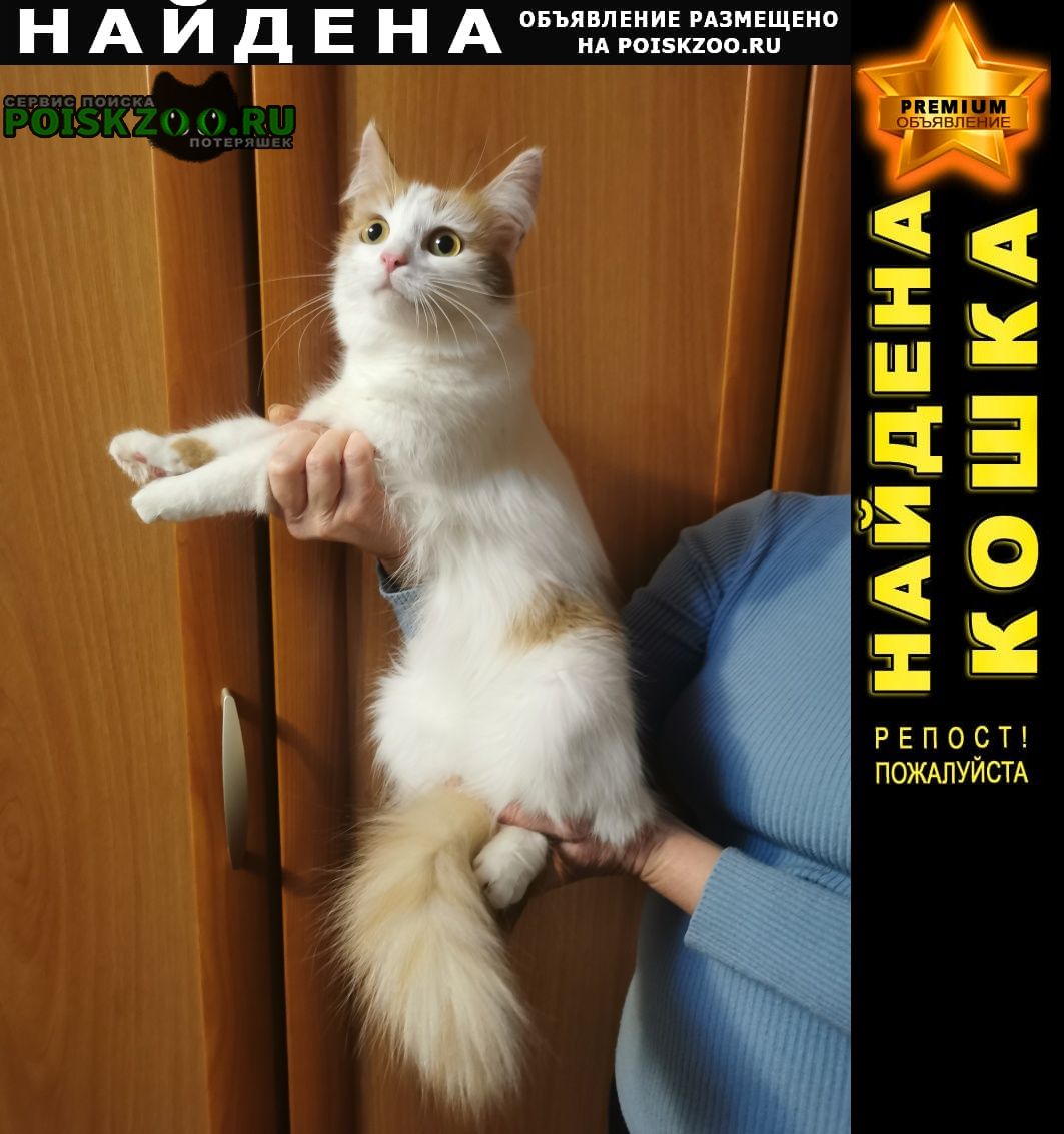 !!! НАЙДЕНА КОШКА НИЖНИЙ НОВГОРОД - PREMIUM-Объявление #поискзоо #poiskzoo Подробнее по ссылке: poiskzoo.ru/177726 Найдена кошечка у подъезда дома .. по ул. Фруктовая. На вид несколько месяцев или очень миниатюрная дама, очень ласковая, ухоженная.... poiskzoo.ru/177726