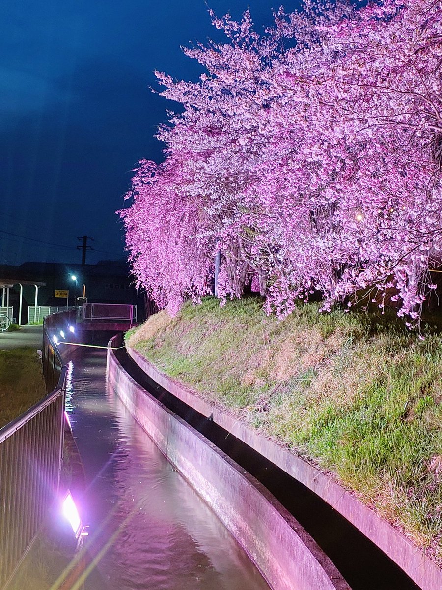 上田電鉄別所線　寺下駅 R6.4.15