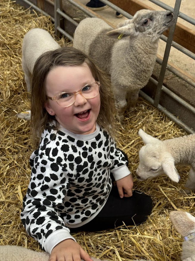 Get up close and cuddly with our cute lambs! 🐑 Enhance your visit to Occombe Farm & join one of our lamb 🍼feeding experiences! Slots available until 📅6th May✨! 🌟Standard admission applies🌟 - 🐑See the link below for more information on booking! countryside-trust.org.uk/event/lamb-fee…