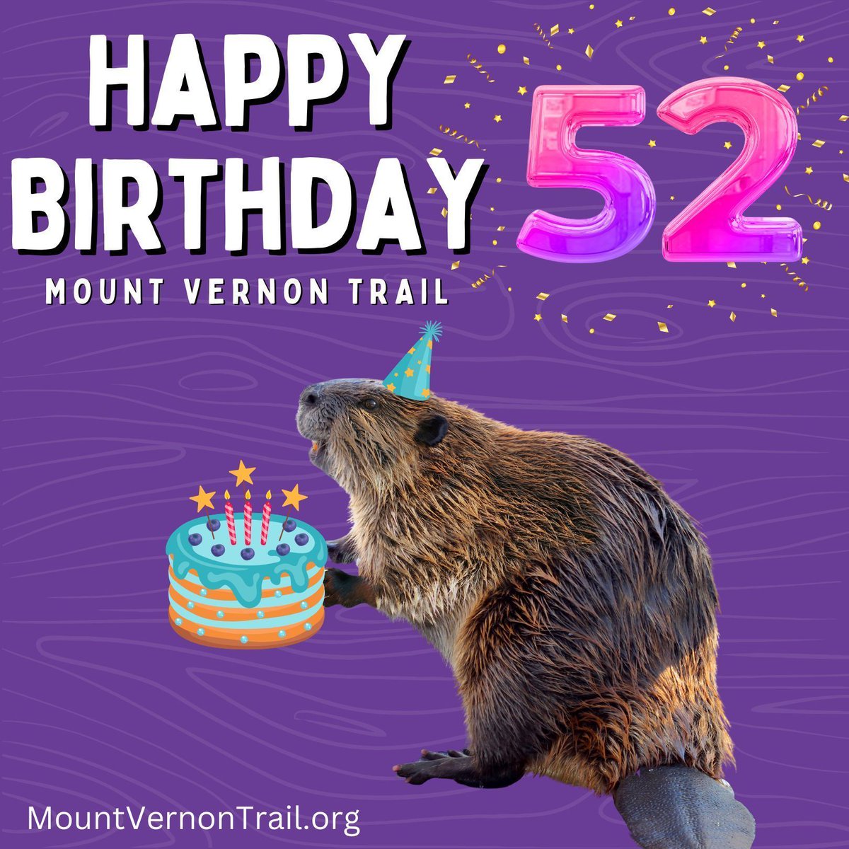 Happy 52nd Birthday to the Mount Vernon Trail! On April 15, 1972, the MVT was born. The efforts of two Alexandria women, countless volunteers, and NPS came to fruition and one of our region’s now most-popular trails opened to the public. Read more here: buff.ly/3FKIGtz