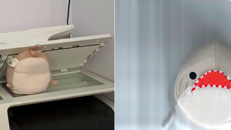 Just a normal day at the office for CopyShark...

CA:  99ExaANo8At2CpCekjZtWL6tbi22qjk1nrkPJDEShPuL

SOCIALS  
copyshark.tech 
t.me/copysharksol